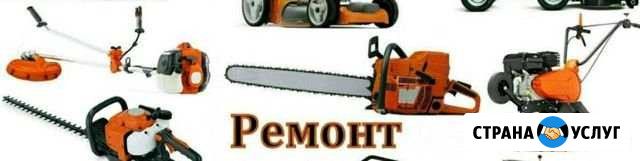 Ремонт бензопил мотокос Алексеевское - изображение 1