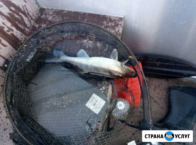 Рыбалка на катере Иваньковское вдхр Дубна - изображение 1