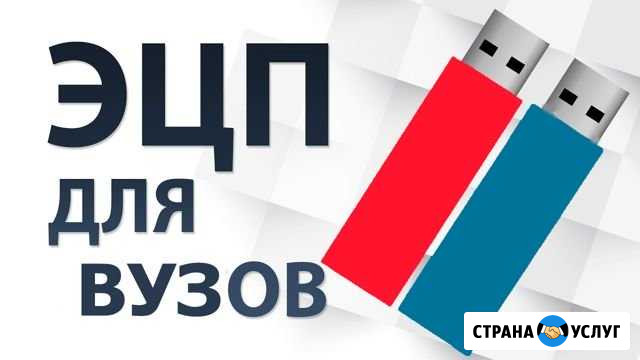 Эцп цифровая подпись для студентов вузов физ лиц Кемерово - изображение 1