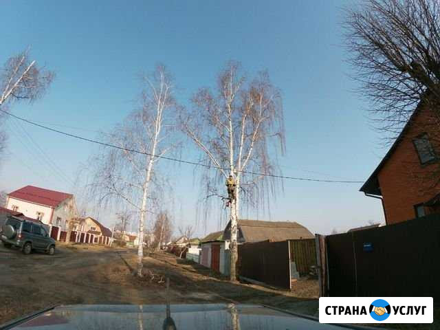 Спил деревъев Симферополь - изображение 1