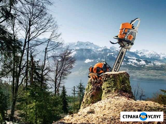 Спил деревьев,вывоз, корчевание Шахты - изображение 1