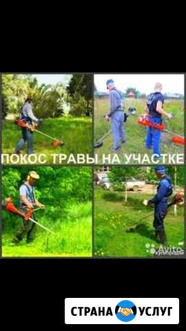 Пакос травы Новоалександровск - изображение 1