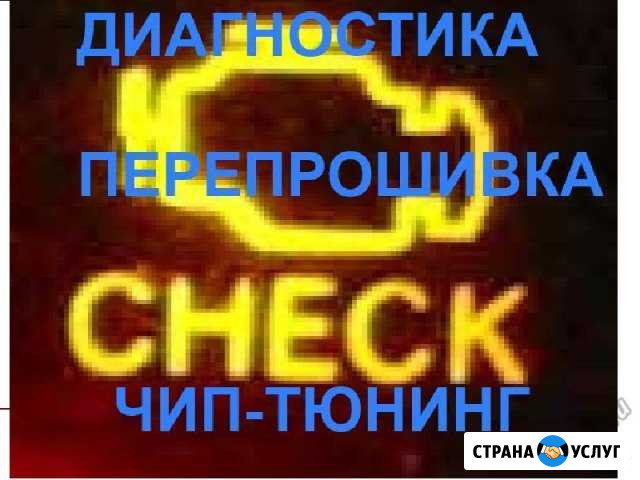 Диагностика и Чип Тюнинг в Пойковском Пойковский - изображение 1