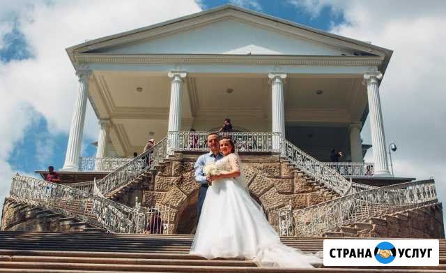 Видеооператор на свадьбу / Видеограф Ялта Ялта - изображение 1
