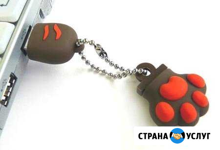 Восстановление данных с любых носителей Омск - изображение 1