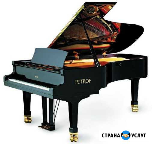 Настройка концертных роялей и пианино Екатеринбург - изображение 1