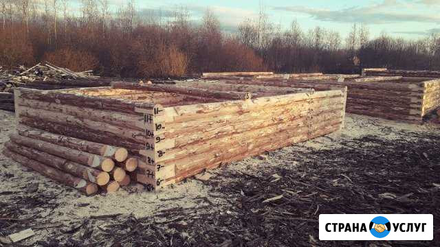 Срубы домов и бань Чудово - изображение 1