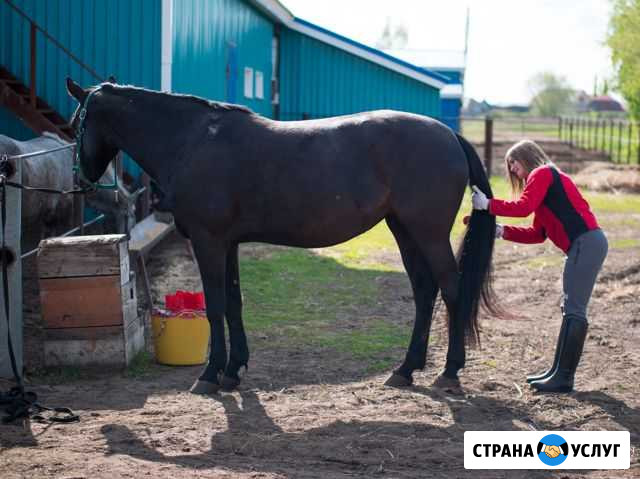 Постой лошадей Спиридоновка - изображение 1