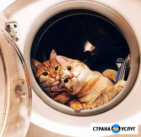 Ремонт холодильников и стиральных машин Воронеж - изображение 1