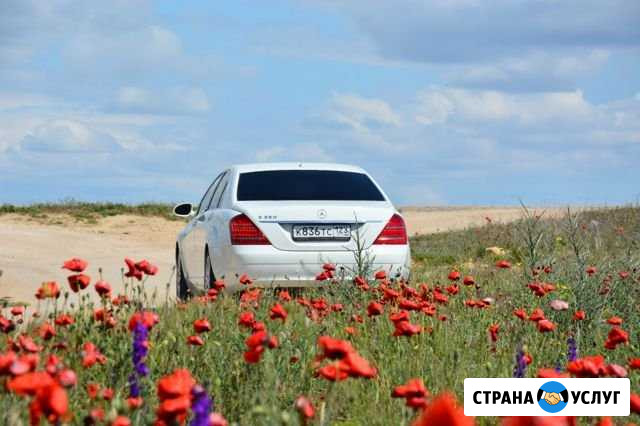 Аренда авто с водителем Симферополь - изображение 1