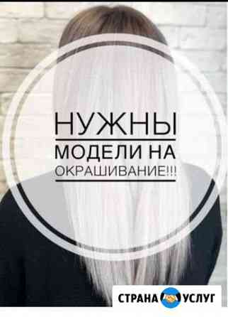 Модель на окрашивание Колпино