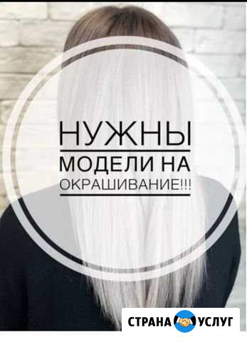 Модель на окрашивание Колпино - изображение 1