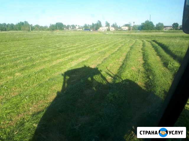 Услуги трактора мтз круглосуточно Дружная Горка - изображение 1