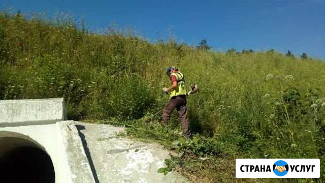 Покос травы Сысерть - изображение 1