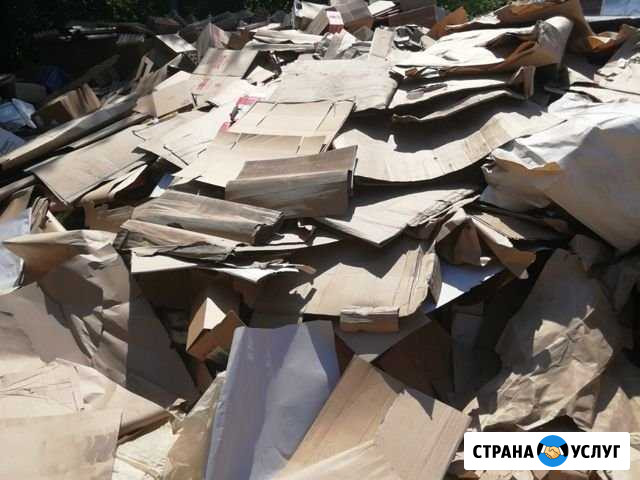 Приём вторсырья Самара - изображение 1