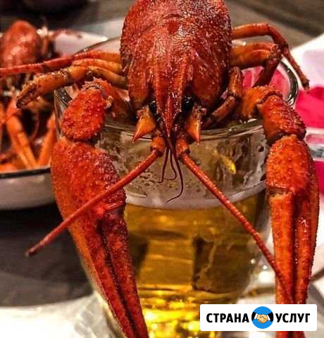 Раки Тверь - изображение 1