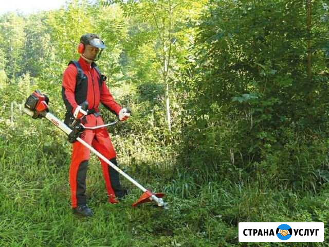 Скос травы Ставрополь - изображение 1