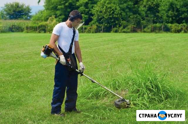 Покос травы на садовых участках в Дубне Дубна - изображение 1