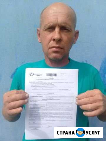 Бесплатно откроем ип ооо счёт Жердевка - изображение 1