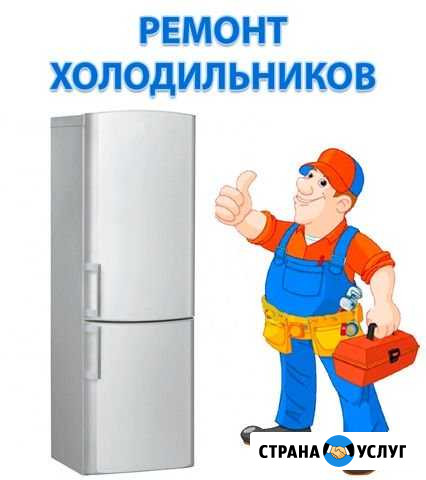 Ремонт холодильников,стиральных машин и посудамоек Щёлково - изображение 1