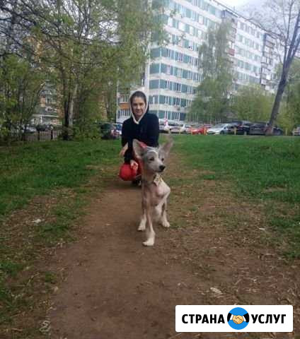 Передержка собак Мытищи - изображение 1
