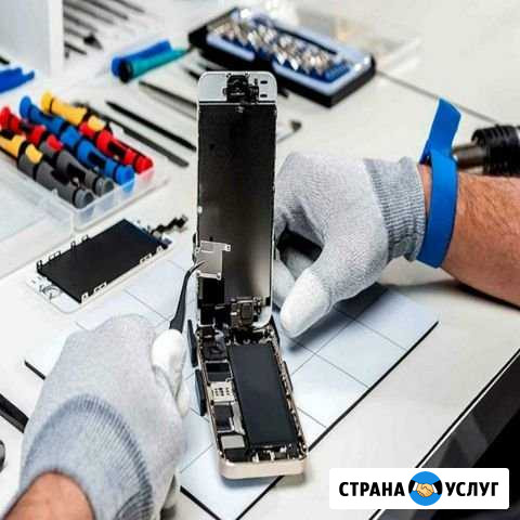 Ремонт apple выезд мастера на дом Москва - изображение 1