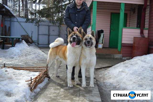 Гостиница для животных Ангарск - изображение 1