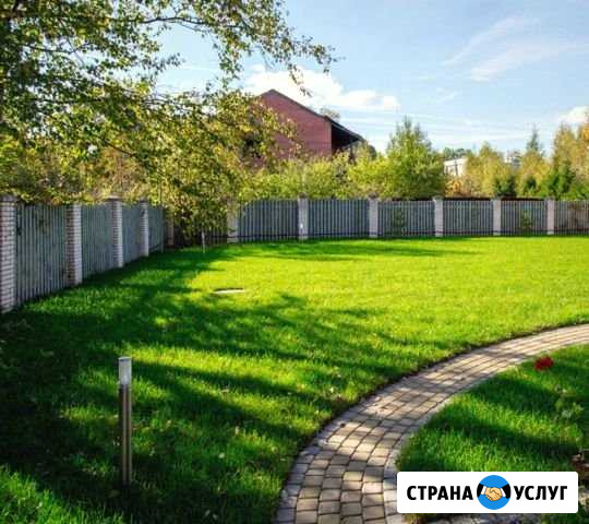 Устройство газона, озеленение участка Москва - изображение 1