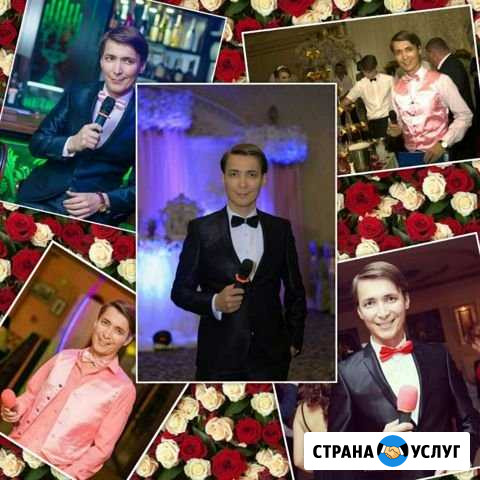 Ведущий для взрослых и детей Диджей,аппаратура Абинск - изображение 1