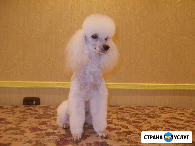 Вязка Таганрог - изображение 1