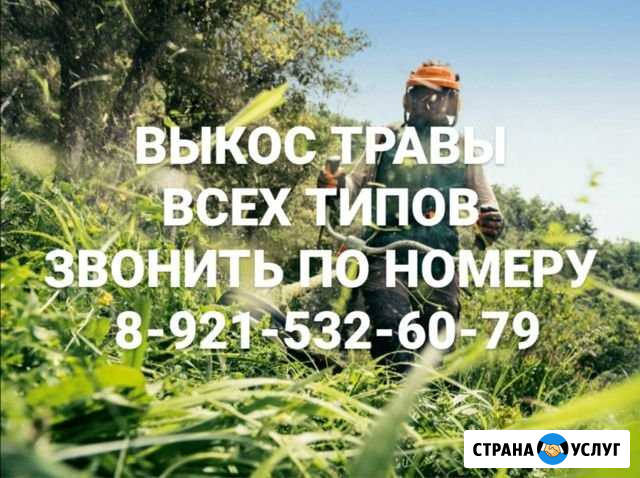 Покос травы Устюжна - изображение 1