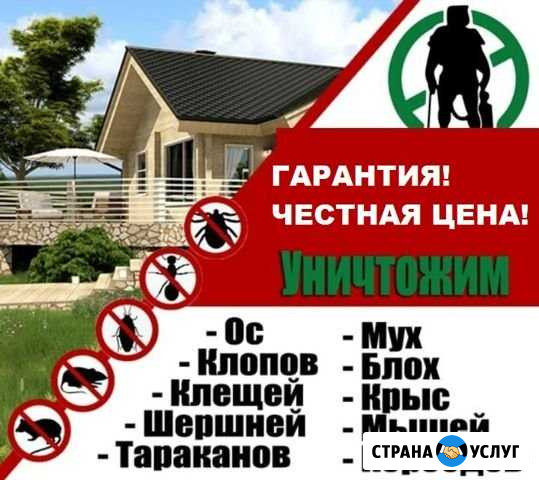 Дезинсекция от тараканов, клопов и т.д с гарантией Самара - изображение 1