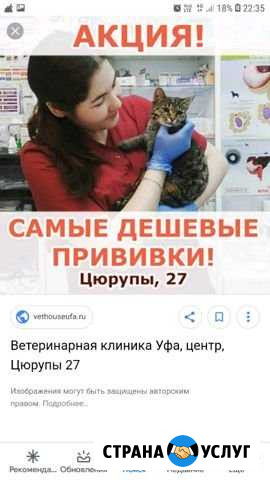Ветеринарные услуги и груминг (стрижка кошек и соб Уфа - изображение 1