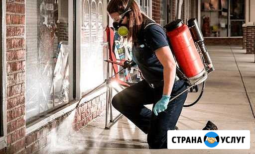 Сэс обработка от насекомых Набережные Челны - изображение 1