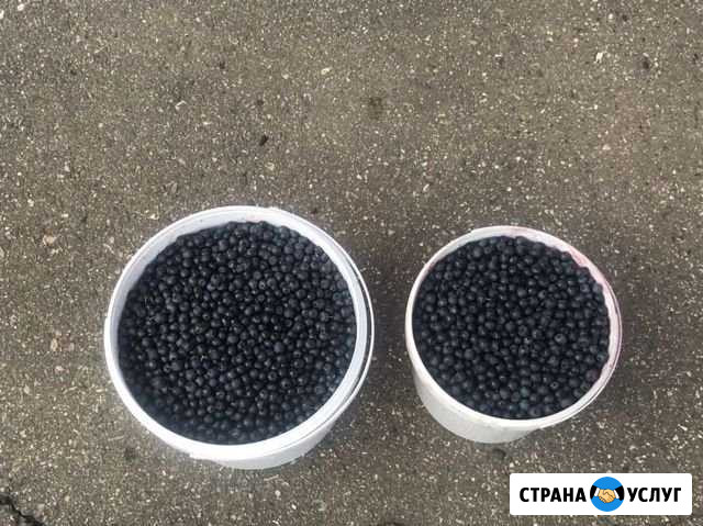 Продаю чернику Владимир - изображение 1