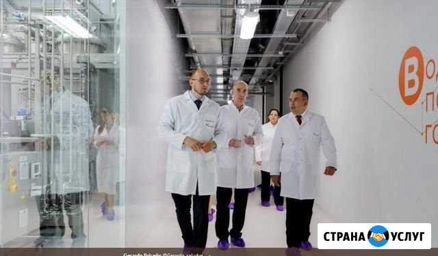 Переводчик Испанского яз. PhD, билингв, опыт 20лет Санкт-Петербург - изображение 1