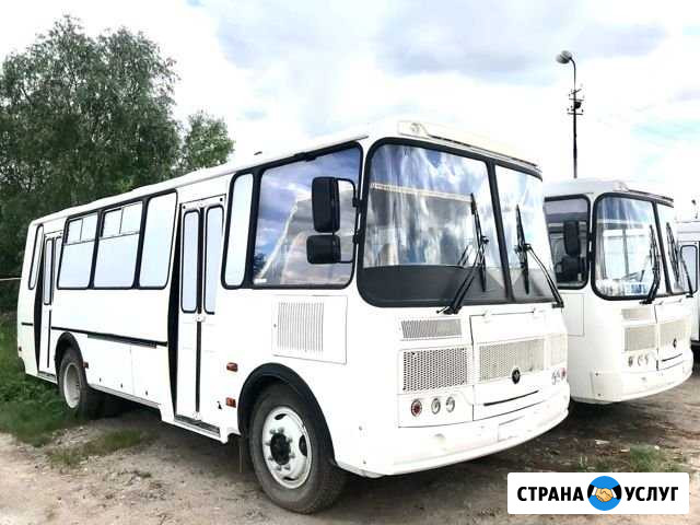 Пассажирские перевозки автобусом паз (паз-4234) Омск - изображение 1