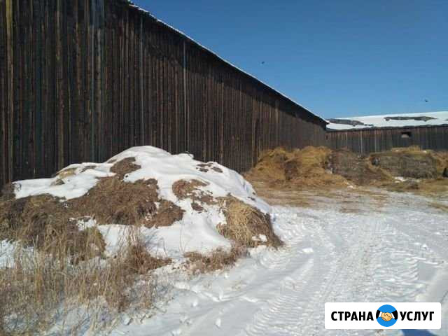 Амбарная доска Лух - изображение 1