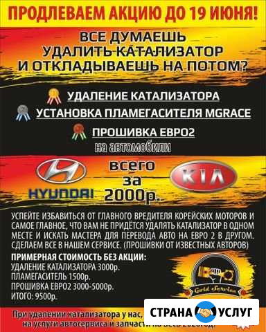 Чиптюнинг Рязань - изображение 1