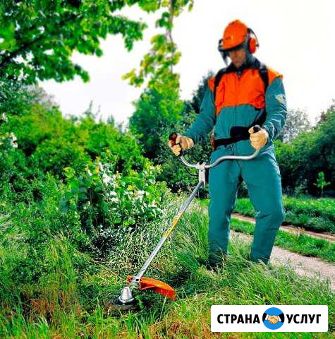 Покос травы Суздаль - изображение 1