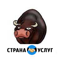 Партнёрская программа, сотрудничество Каменск-Уральский - изображение 1