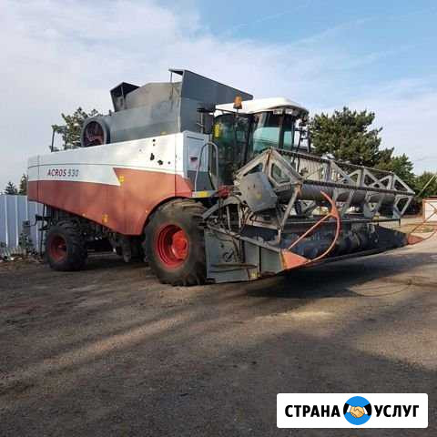 Уборка урожая подсолнечника Кущевская - изображение 1
