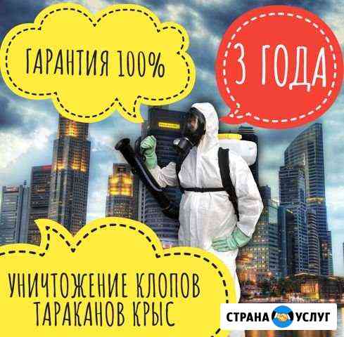 Уничтожение тараканов, клопов, дымом, туманом Ростов-на-Дону
