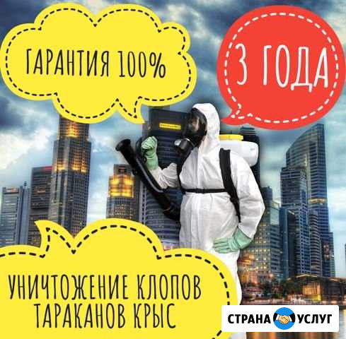 Уничтожение тараканов, клопов, дымом, туманом Ростов-на-Дону - изображение 1