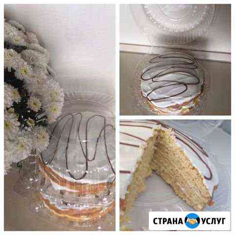 Питание Нижнекамск