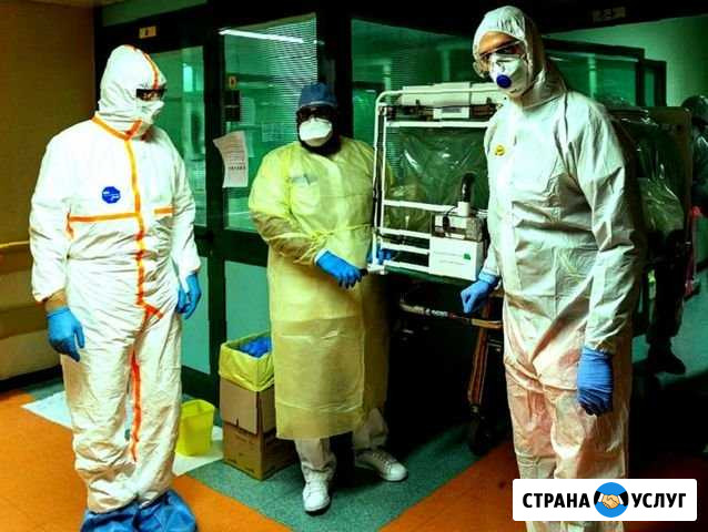 Обработка от тараканов, клещей, клопов Батайск - изображение 1