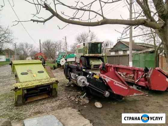 Уборка подсолнечника и кукурузы Солдатская