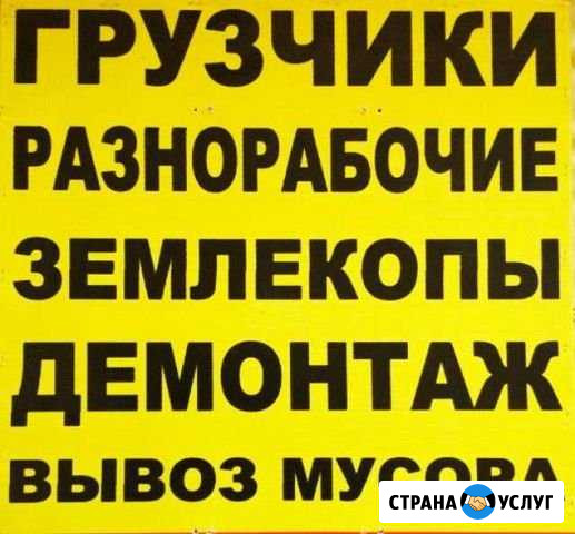 Грузчики Стерлитамак - изображение 1