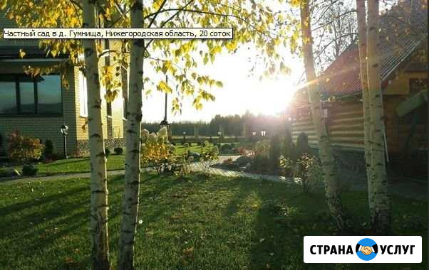 Ландшафтные работы Городец - изображение 1