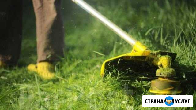 Покос травы Невинномысск - изображение 1